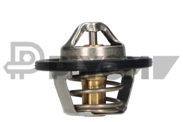 Thermostat, liquide de refroidissement PLYOM P756871