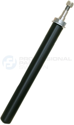 Amortisseur Professional Parts 72431579