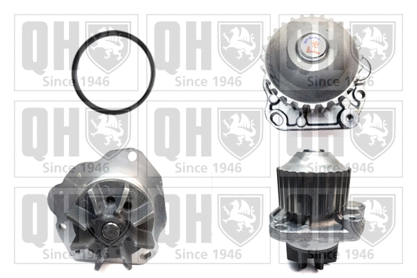 Pompe à eau, refroidissement du moteur QUINTON HAZELL QCP3541