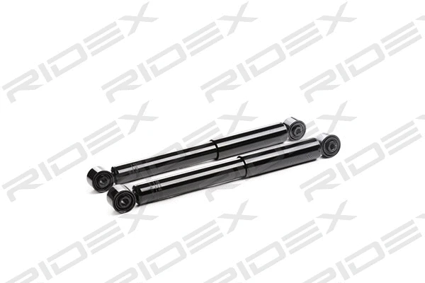 Amortisseur RIDEX 854S1694