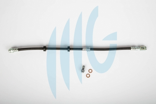 Flexible de frein RICAMBIFLEX GM 02500623