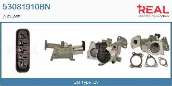 Vanne EGR REAL 53081910BN