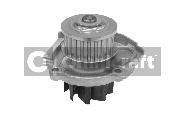 Pompe à eau, refroidissement du moteur Omnicraft 2316876