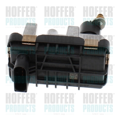 Détendeur de suralimentation HOFFER 6200101