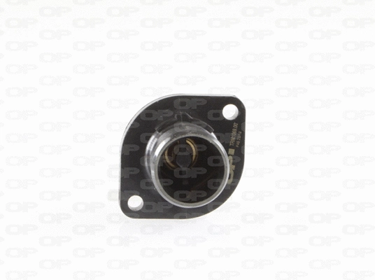 Thermostat, liquide de refroidissement OPEN PARTS TRM1069.00