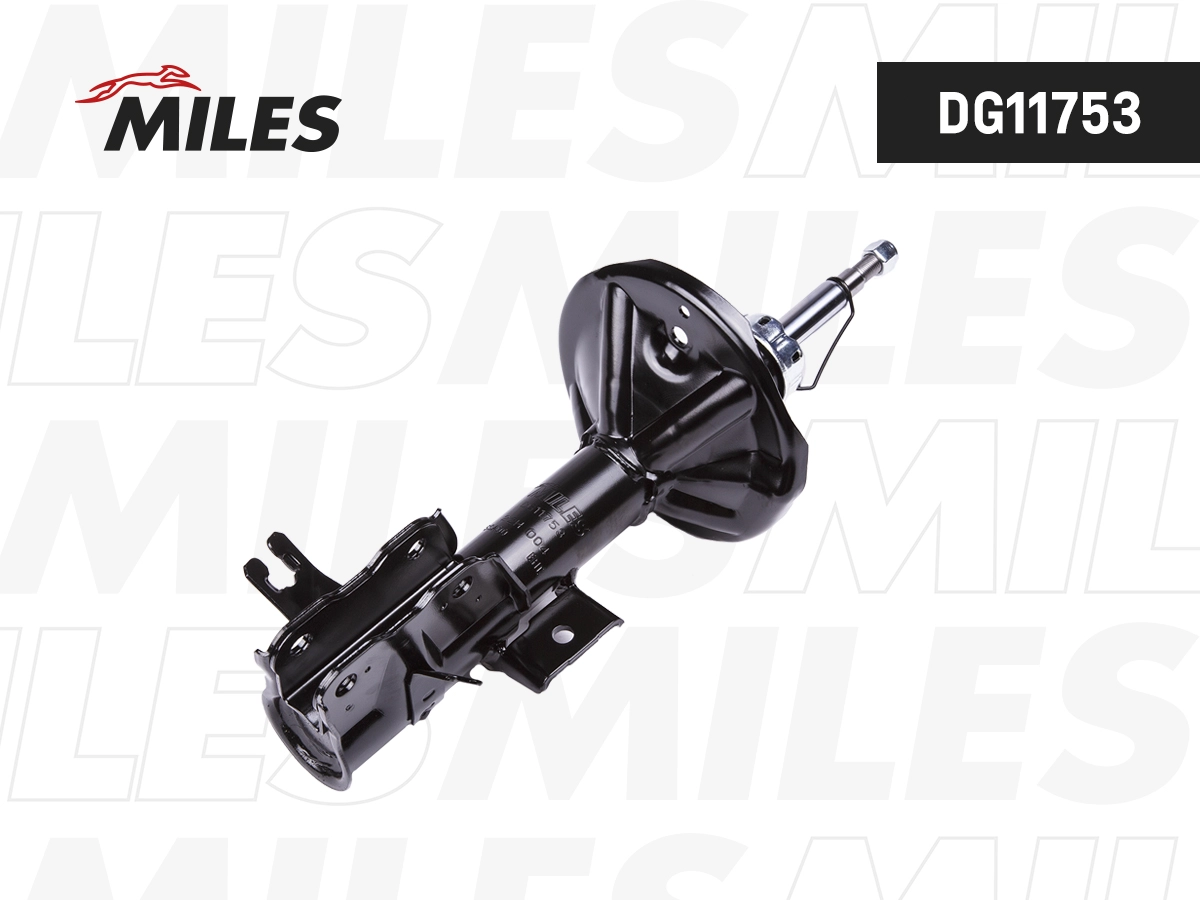 Amortisseur MILES DG11753