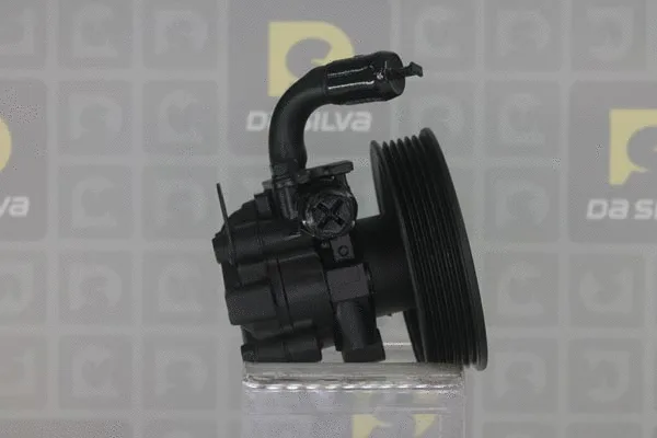 Pompe hydraulique, direction DA SILVA DP3323