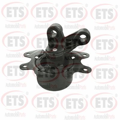 Support moteur ETS 19.EM.133