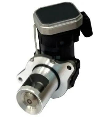 Vanne EGR ASSO 70.0164
