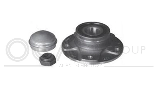Kit de roulements de roue OCAP 6110103