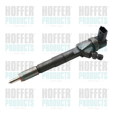 Injecteur HOFFER H74075