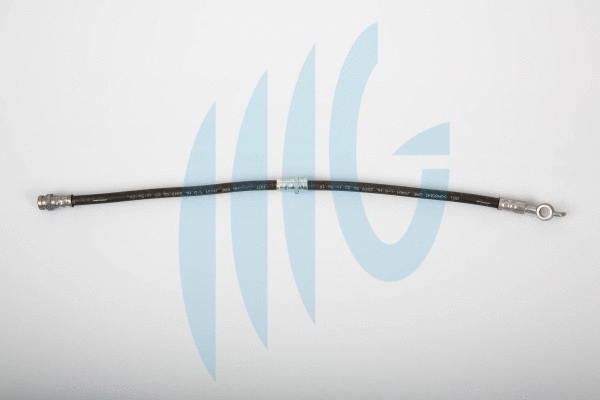 Flexible de frein RICAMBIFLEX GM 02300871