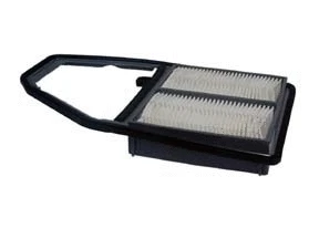 Filtre à air ACDelco Oceania ACA305