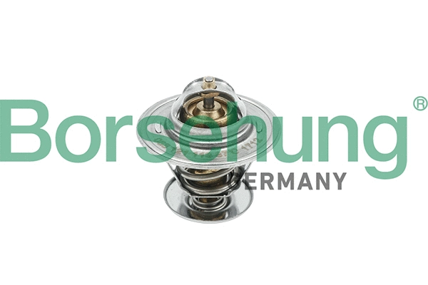Thermostat, liquide de refroidissement Borsehung B18245