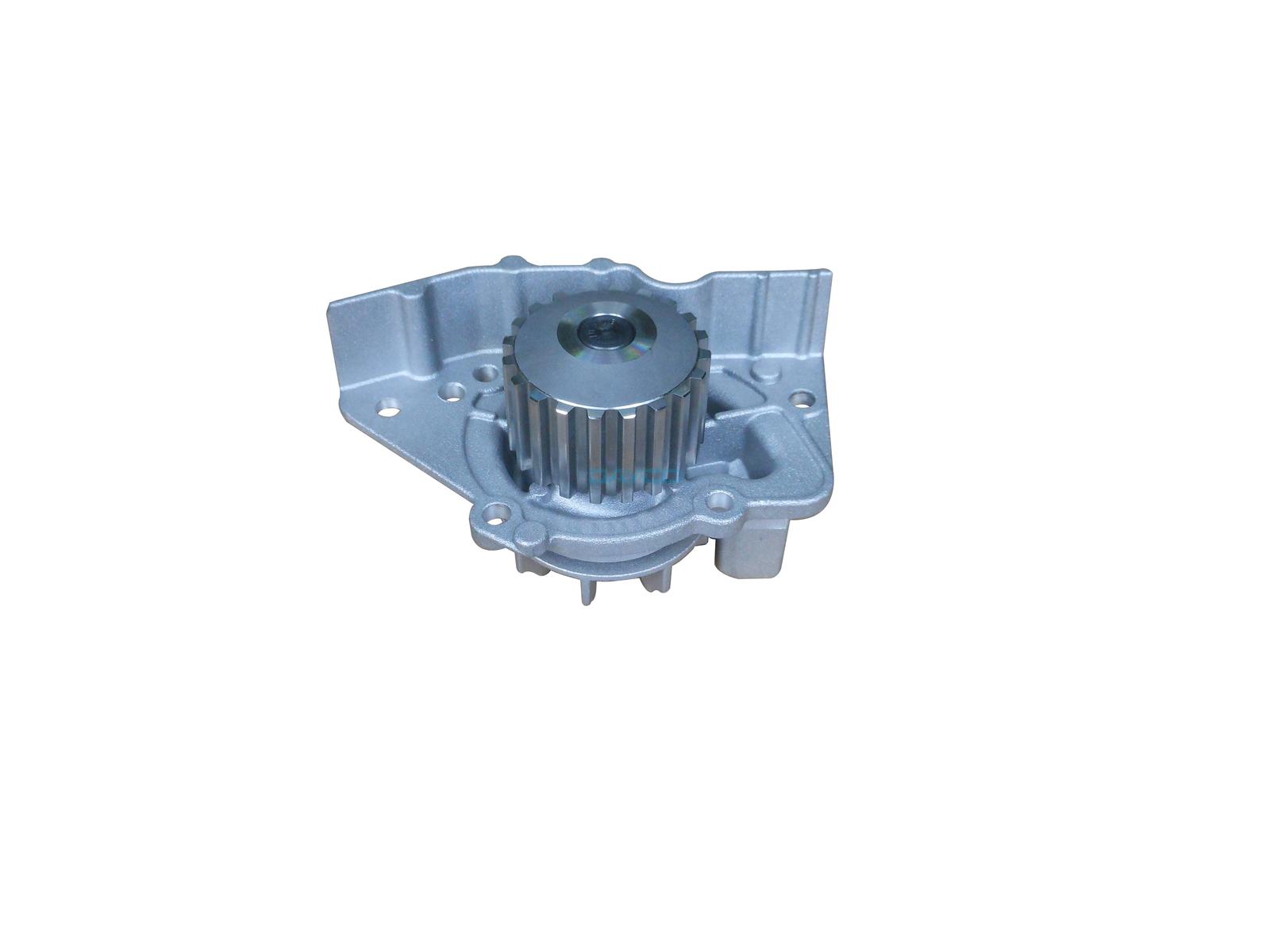 Pompe à eau, refroidissement du moteur DAYCO-AU DP031