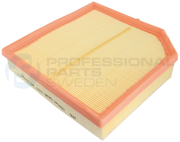 Filtre à air Professional Parts 24434521