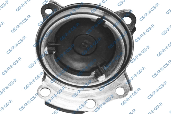 Pompe à eau, refroidissement du moteur GSP WP900847