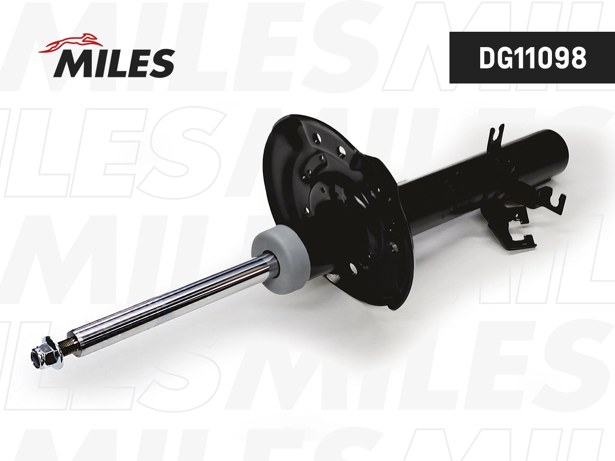 Amortisseur MILES DG11098