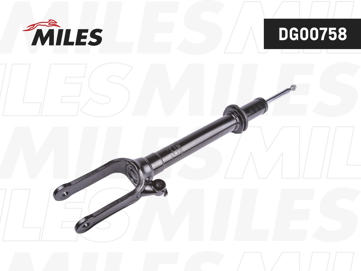 Amortisseur MILES DG00758