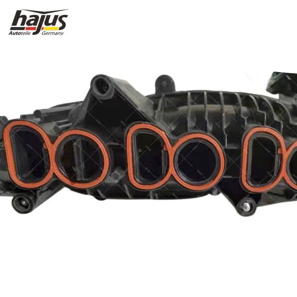 Module de tube d'admission hajus Autoteile 2511064