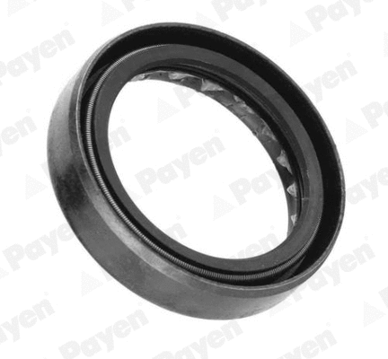 Bague d'étanchéité, boîte de vitesse manuel PAYEN NJ125