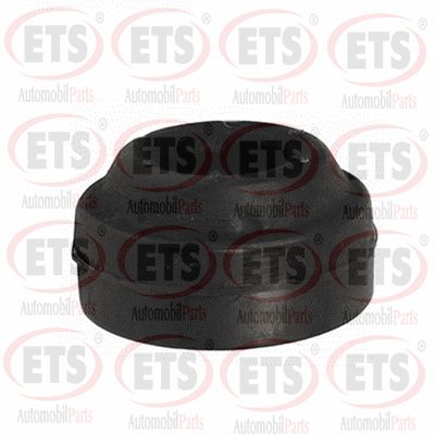 Suspension, support d'essieu ETS 31.MB.106