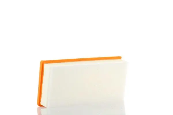 Filtre à air PZL Filters WA50386