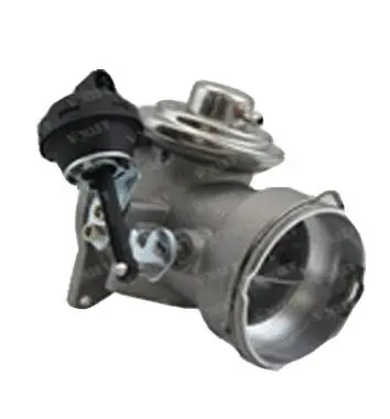 Vanne EGR ASSO 70.0029