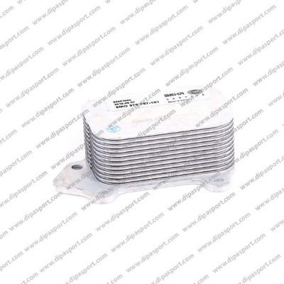 Radiateur d'huile DIPASPORT RAO142BHRN