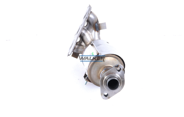 Catalyseur WALKER 20951