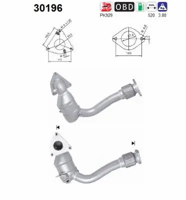 Catalyseur AS 30196