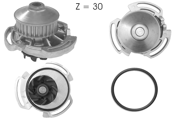 Pompe à eau, refroidissement du moteur TECDRIVE TPAE0254