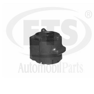 Support moteur ETS 06.ST.078