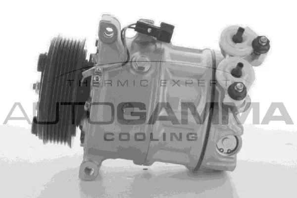 Compresseur, climatisation AUTOGAMMA 118592