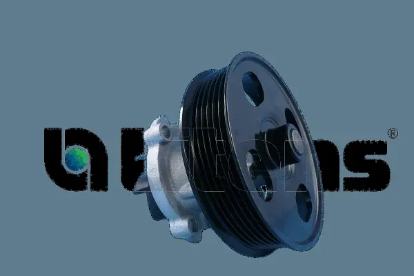 Pompe à eau+Jeu de courroie trapézoïdale à nervures Litens LVW950008A