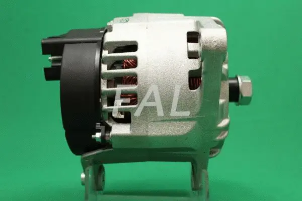 Alternateur FAL Anlasser- und Lichtmaschinenservice F011409/1