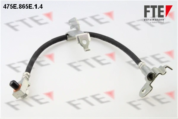 Flexible de frein FTE 9240679