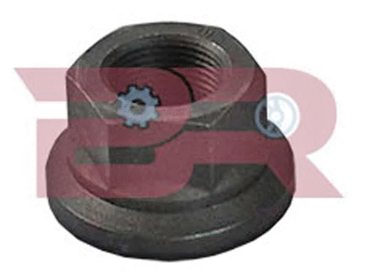Écrou de roue BOTTO RICAMBI BRD1276