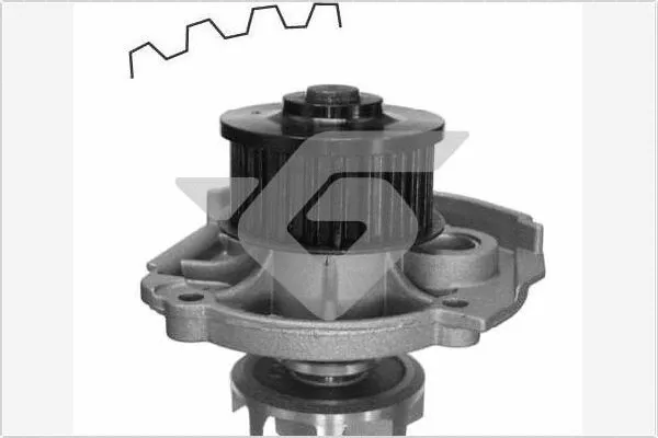 Pompe à eau, refroidissement du moteur HUTCHINSON WP39