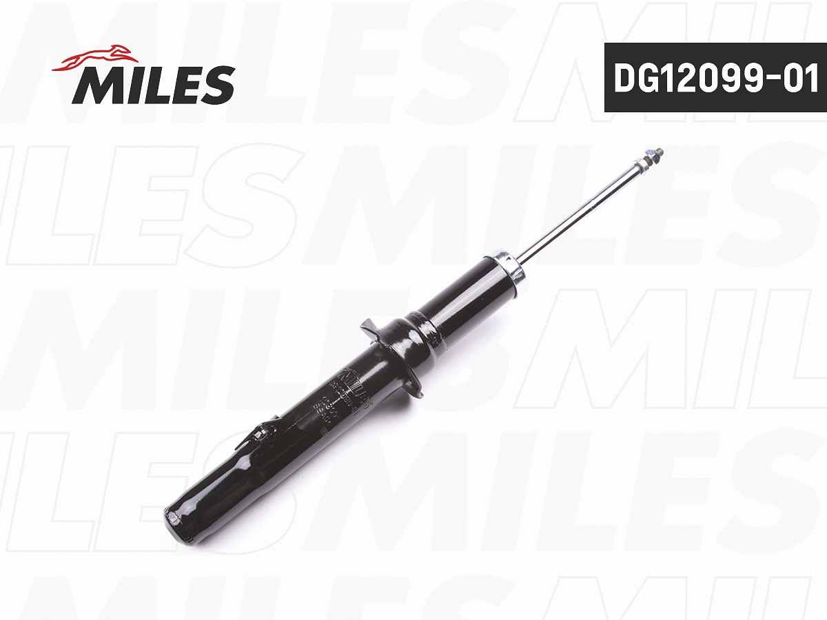 Amortisseur MILES DG12099-01