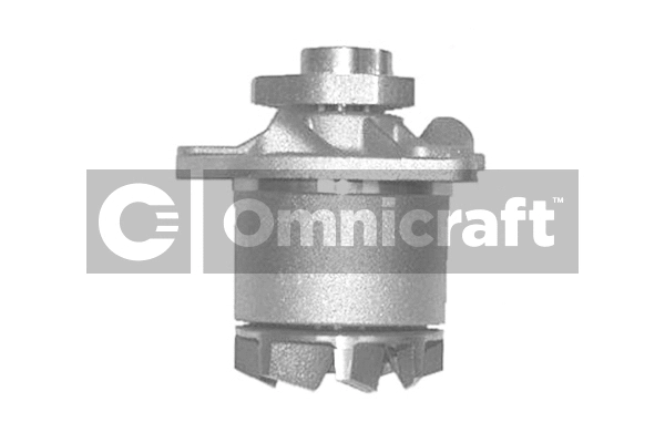 Pompe à eau, refroidissement du moteur Omnicraft 2317416
