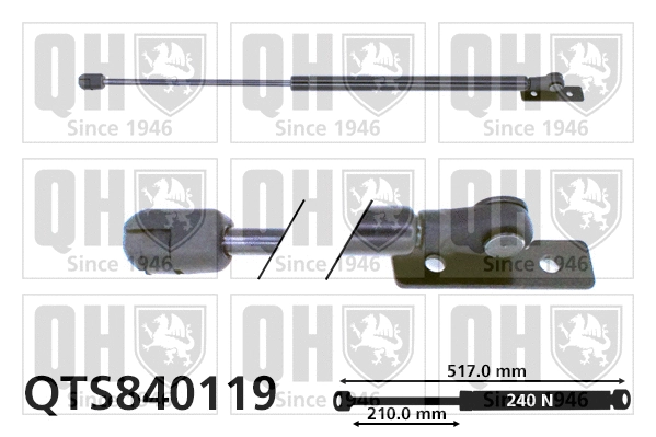 Vérin, capot-moteur QUINTON HAZELL QTS840119