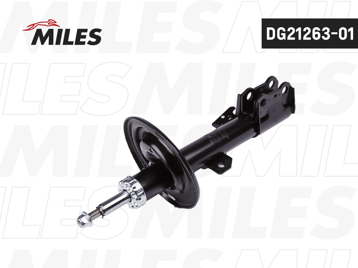 Amortisseur MILES DG21263-01