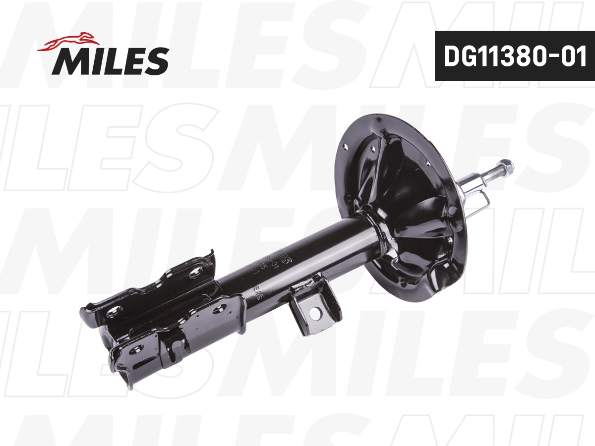 Amortisseur MILES DG11380-01