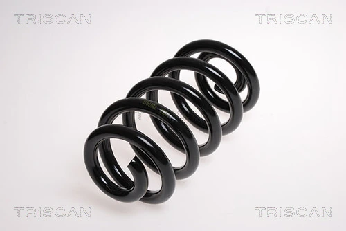 Ressort de suspension TRISCAN 8750 29190
