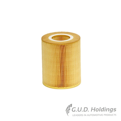 Filtre à air GUD AG1019
