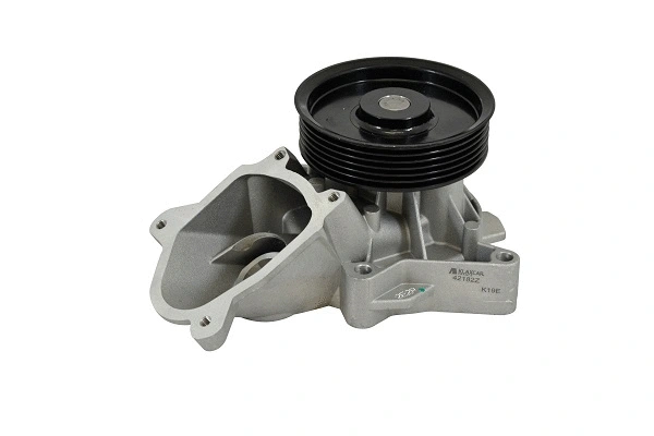Pompe à eau, refroidissement du moteur KLAXCAR FRANCE 42182z