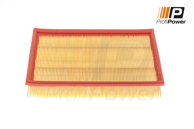 Filtre à air ProfiPower 2F0076