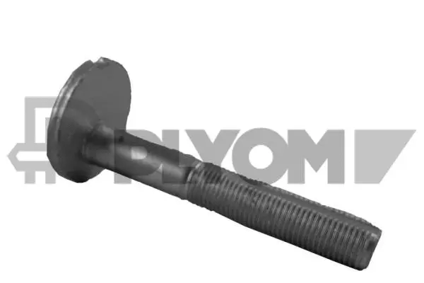 Vis de correction du carrossage PLYOM P758463