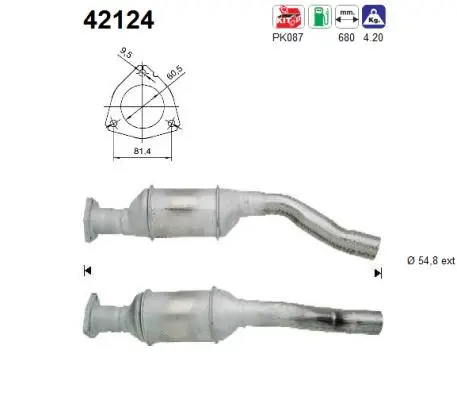 Catalyseur AS 42124